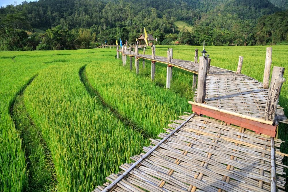 Jour 5