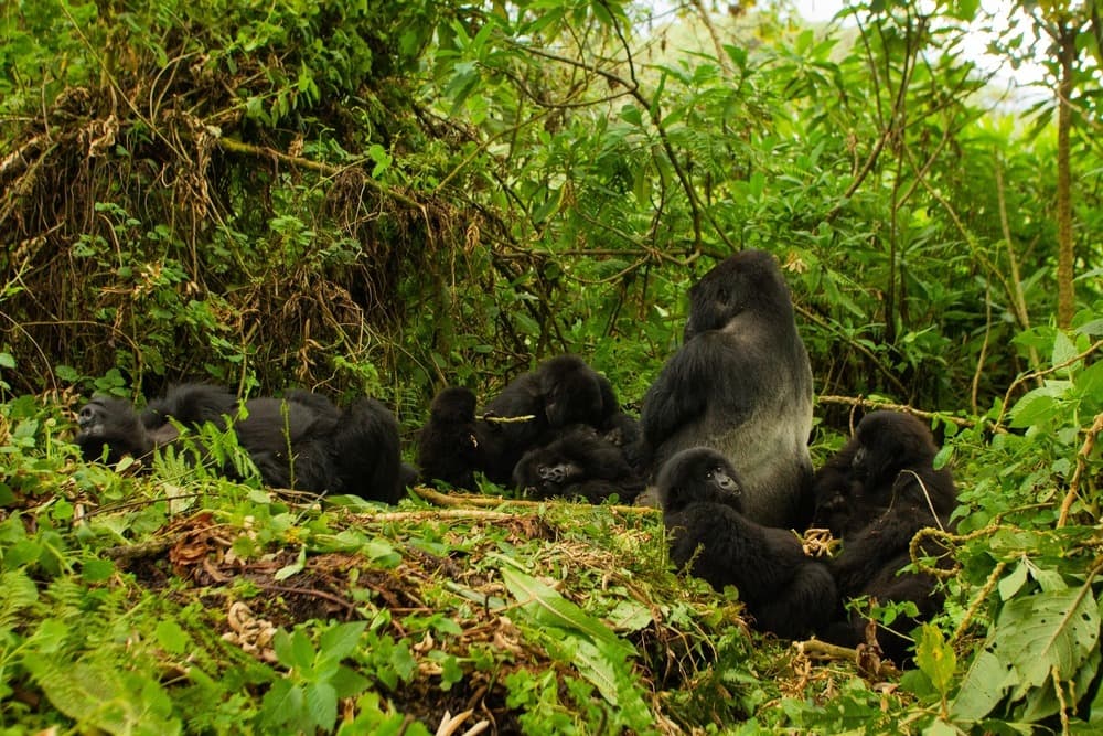 Jour 2